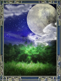 電話占いウィル　妙鈴法先生